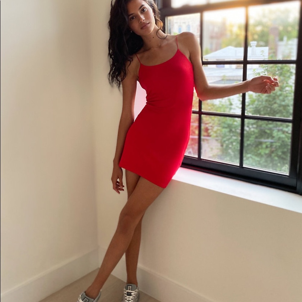 Aritzia Wilfred Tiny Dress